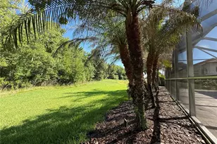 4557 Vermillion Sky Dr, Wesley Chapel, FL 33544 - Photo 41
