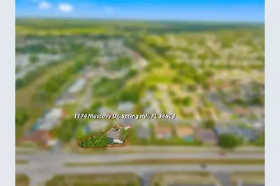 1174 Muscovy Drive, Spring Hill, FL 34608 - Photo 65
