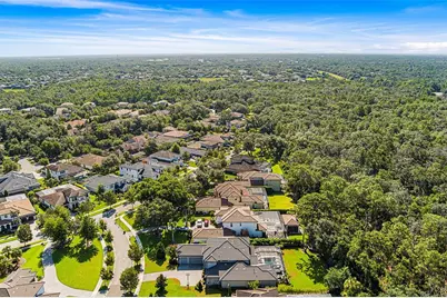 14704 Fishhawk Preserve Drive, Lithia, FL 33547 - Photo 65