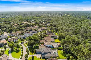 14704 Fishhawk Preserve Dr, Lithia, FL 33547 - Photo 65