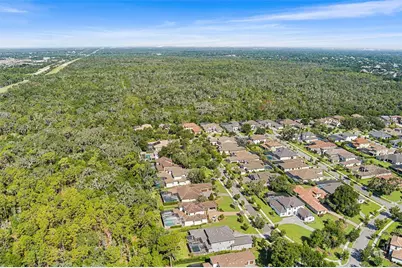 14704 Fishhawk Preserve Drive, Lithia, FL 33547 - Photo 69