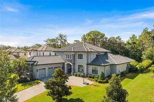 14704 Fishhawk Preserve Dr, Lithia, FL 33547 - Photo 3