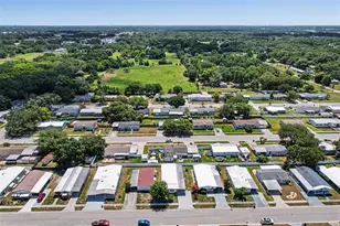 3902 Julie Dr, Wesley Chapel, FL 33543 - Photo 31