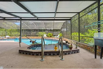 165 Woodcutter Lane, Palm Harbor, FL 34683 - Photo 41