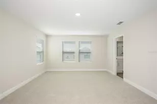 33595 Twilight Sea Place, Dade City, FL 33525 - Photo 19