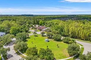 17308 Chenango Ln, Tampa, FL 33647 - Photo 61