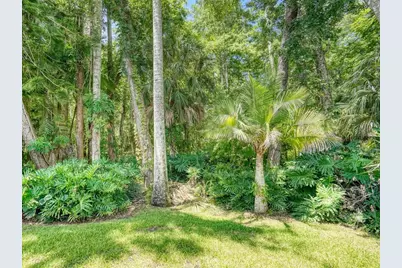 3454 Killdeer Place, Palm Harbor, FL 34685 - Photo 35