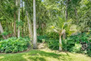 3454 Killdeer Pl, Palm Harbor, FL 34685 - Photo 35