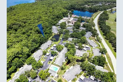 3454 Killdeer Place, Palm Harbor, FL 34685 - Photo 39