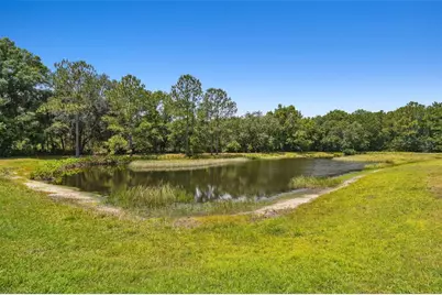 8208 Pinewood Run Court, Tampa, FL 33647 - Photo 55