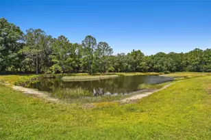 8208 Pinewood Run Ct, Tampa, FL 33647 - Photo 55