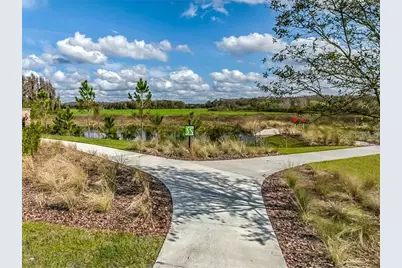 17649 Nectar Flume Drive, Land O Lakes, FL 34638 - Photo 51