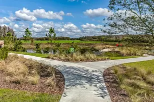 17649 Nectar Flume Dr, Land O Lakes, FL 34638 - Photo 51
