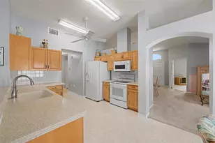 29641 Fog Hollow Dr, Wesley Chapel, FL 33543 - Photo 25