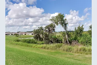 3723 Stormy Thistle Place, Plant City, FL 33565 - Photo 37