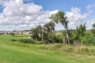 3723 Stormy Thistle Pl, Plant City, FL 33565 - Photo 37