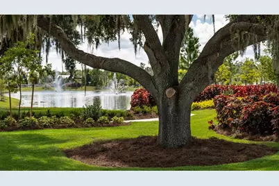 3723 Stormy Thistle Place, Plant City, FL 33565 - Photo 53