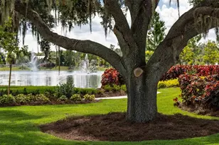 3723 Stormy Thistle Pl, Plant City, FL 33565 - Photo 53