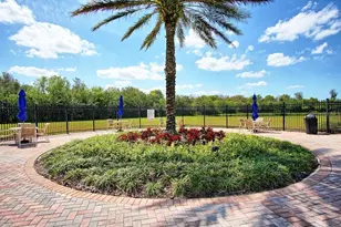 11619 Iris Spring Ct, Riverview, FL 33579 - Photo 35