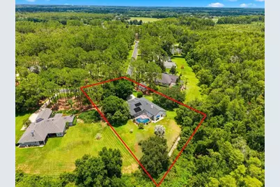 418 Pine Bluff Drive, Lutz, FL 33549 - Photo 49