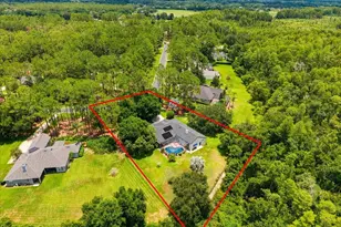 418 Pine Bluff Dr, Lutz, FL 33549 - Photo 49