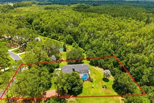 418 Pine Bluff Dr, Lutz, FL 33549 - Photo 49