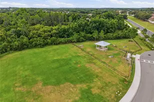 9821 Jasmine Brook Cir, Land O Lakes, FL 34638 - Photo 25