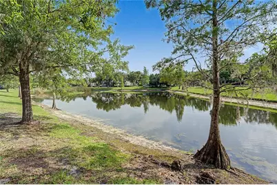 8152 Lagerfeld Drive, Land O Lakes, FL 34637 - Photo 41