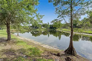 8152 Lagerfeld Dr, Land O Lakes, FL 34637 - Photo 41