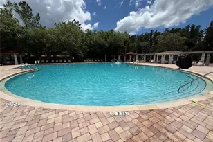 30316 Elderwood Dr, Wesley Chapel, FL 33543 - Photo 15
