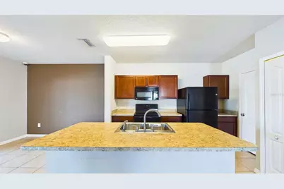14517 Dunrobin Drive, Wimauma, FL 33598 - Photo 9
