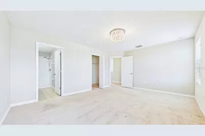 14517 Dunrobin Drive, Wimauma, FL 33598 - Photo 17