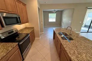 16852 Scuba Crest St, Wimauma, FL 33598 - Photo 3