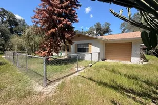 8110 Habakka Rd, Lithia, FL 33547 - Photo 3