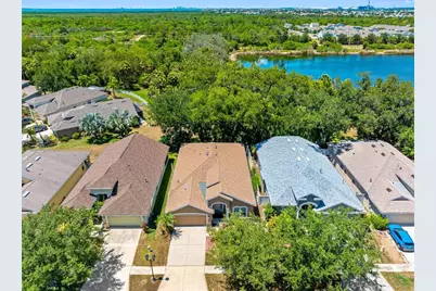 5335 Clover Mist Drive, Apollo Beach, FL 33572 - Photo 5