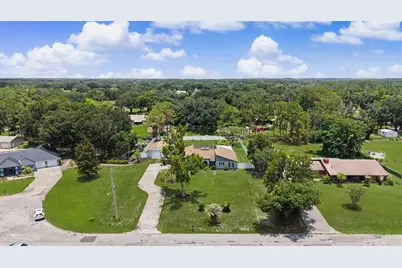 29311 Chandler Trace, Wesley Chapel, FL 33545 - Photo 49
