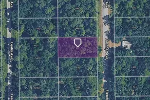 442 Fletcher Ave, Lake Placid, FL 33852 - Photo 1