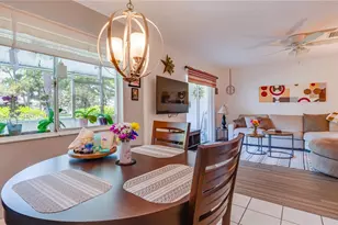 1207 11th Cir SE, Largo, FL 33771 - Photo 17
