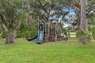 6334 Knob Tree Dr, Lithia, FL 33547 - Photo 65