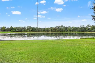 6334 Knob Tree Drive, Lithia, FL 33547 - Photo 69