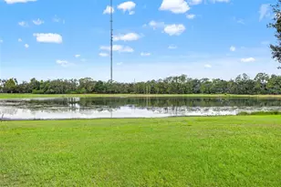 6334 Knob Tree Dr, Lithia, FL 33547 - Photo 69