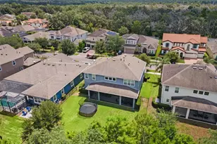 6334 Knob Tree Dr, Lithia, FL 33547 - Photo 81
