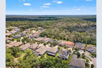 6334 Knob Tree Drive, Lithia, FL 33547 - Photo 9
