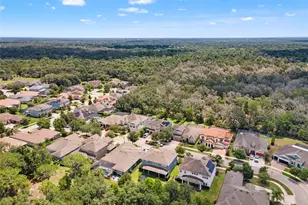 6334 Knob Tree Dr, Lithia, FL 33547 - Photo 9