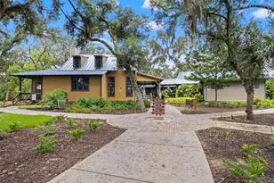 6334 Knob Tree Dr, Lithia, FL 33547 - Photo 61