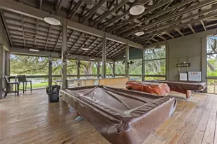 6334 Knob Tree Dr, Lithia, FL 33547 - Photo 69