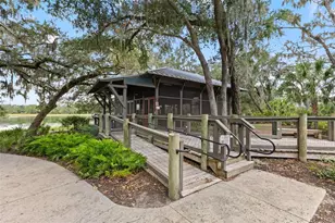 6334 Knob Tree Dr, Lithia, FL 33547 - Photo 65