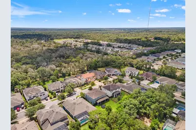 6334 Knob Tree Drive, Lithia, FL 33547 - Photo 81