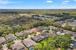 6334 Knob Tree Dr, Lithia, FL 33547 - Photo 81