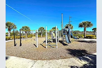 3908 Mossy Limb Court, Palmetto, FL 34221 - Photo 23